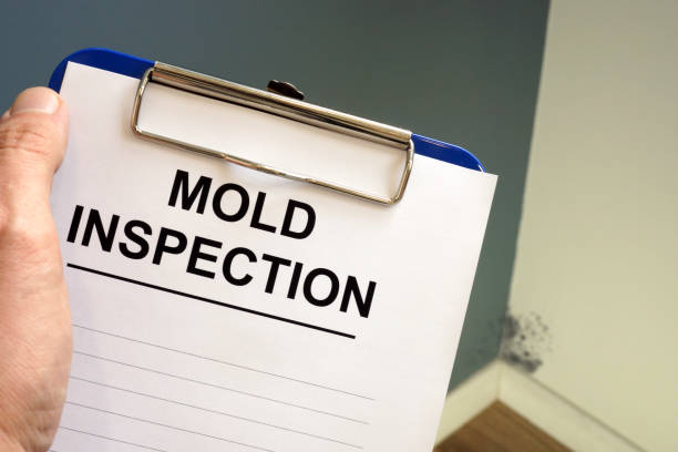 Best Water Damage & Mold Remediation  in Norco, CA